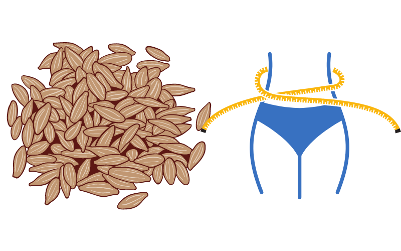 Cumin for Weight Loss