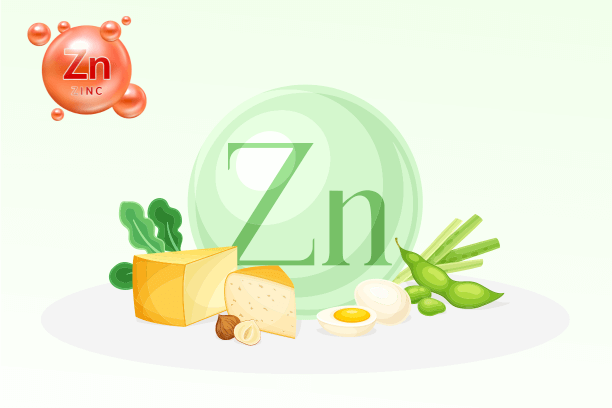 zinc foods