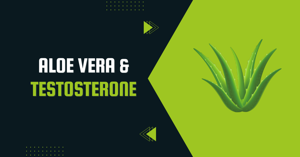 Aloe Vera and Testosterone