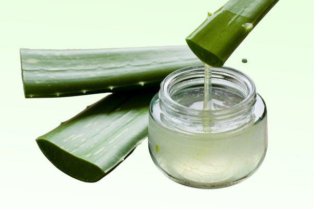 Does Aloe Vera Increase Testosterone?