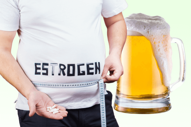Does beer increase estrogen?
