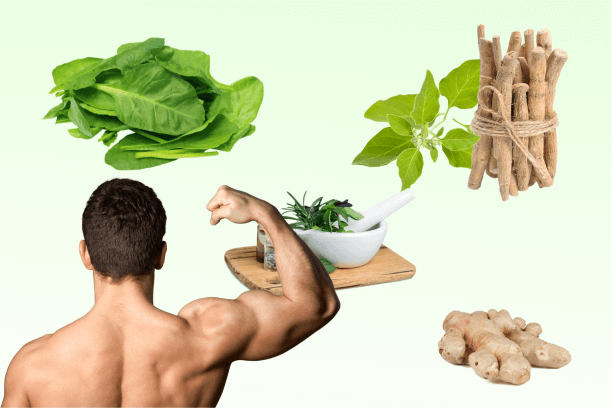 Herbs To Boost Testosterone Levels