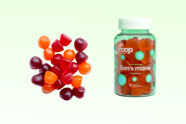 Lion's Mane Gummies cognitive health side effects results