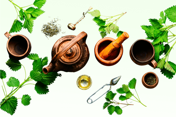 Herbal Remedies For Anxiety