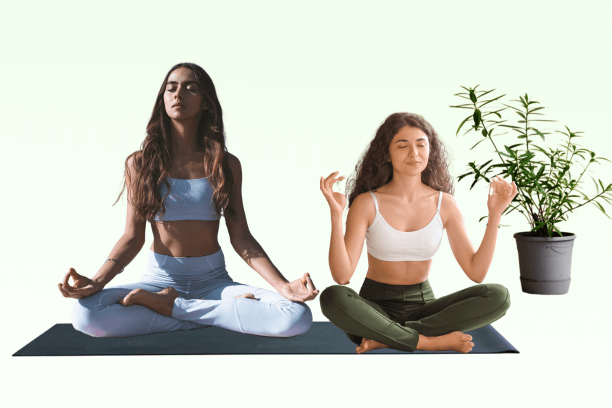 Mindful Meditation For Anxiety