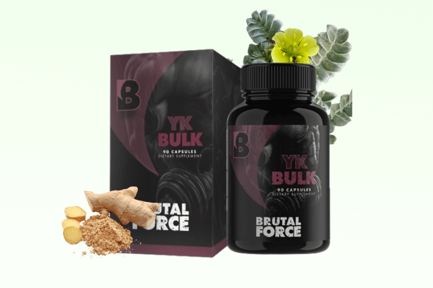 YKBulk Review