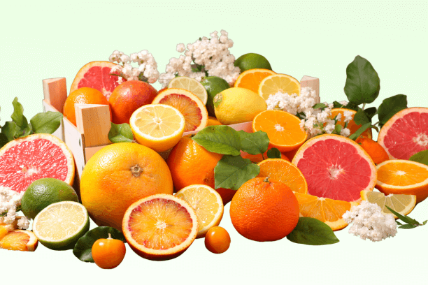 Citrus Fruits to Improve Health