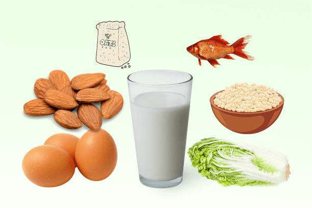High-Protein Foods