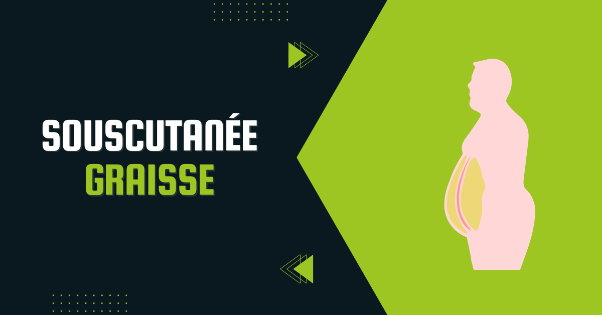 Graisse sous-cutanée