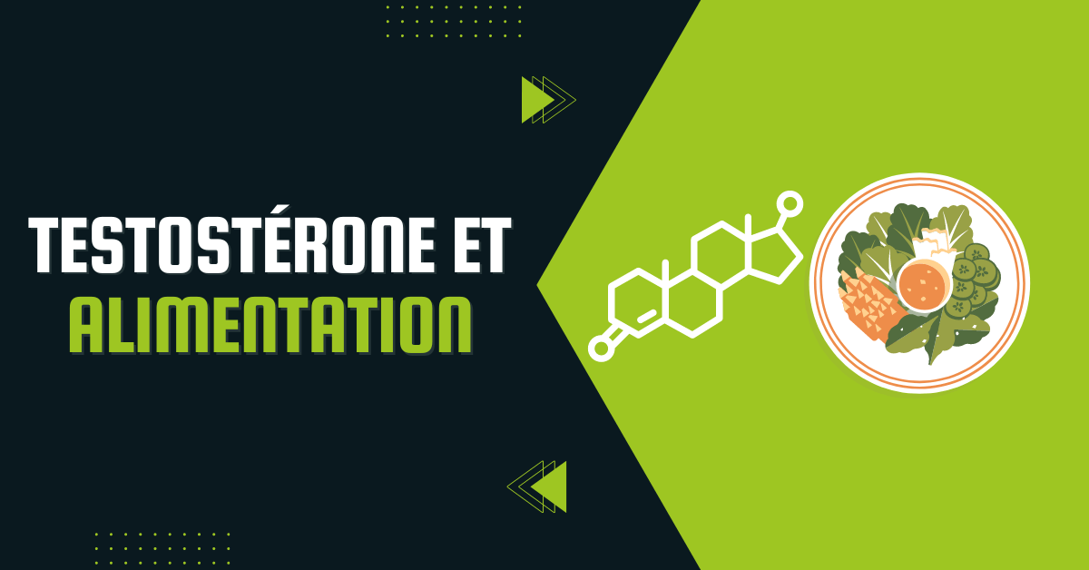 Testostérone et alimentation