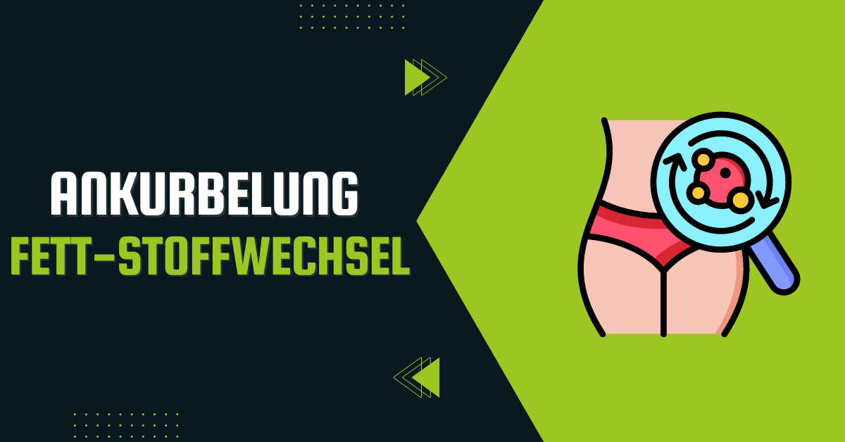 Ankurbelung Fett-Stoffwechsel