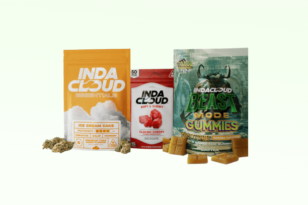 IndaCloud Review