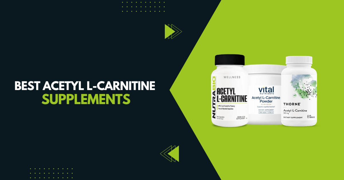 Best Acetyl L-Carnitine Supplements