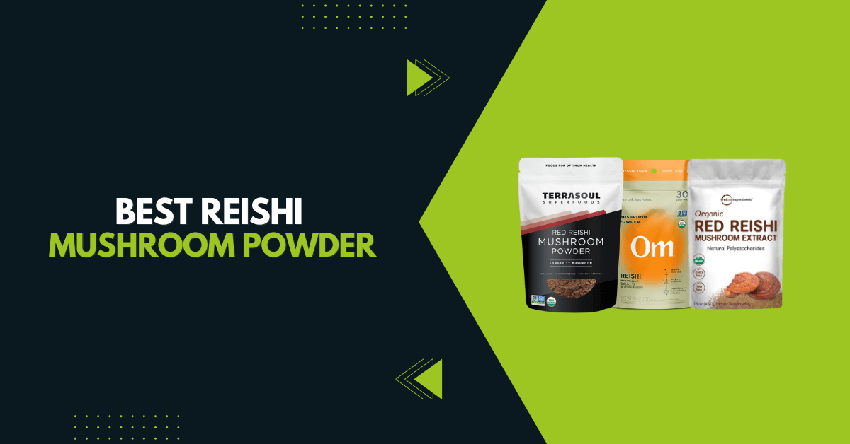 Best Reishi Mushroom Powder