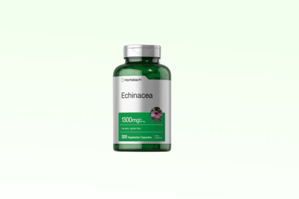 Horbäach Echinacea