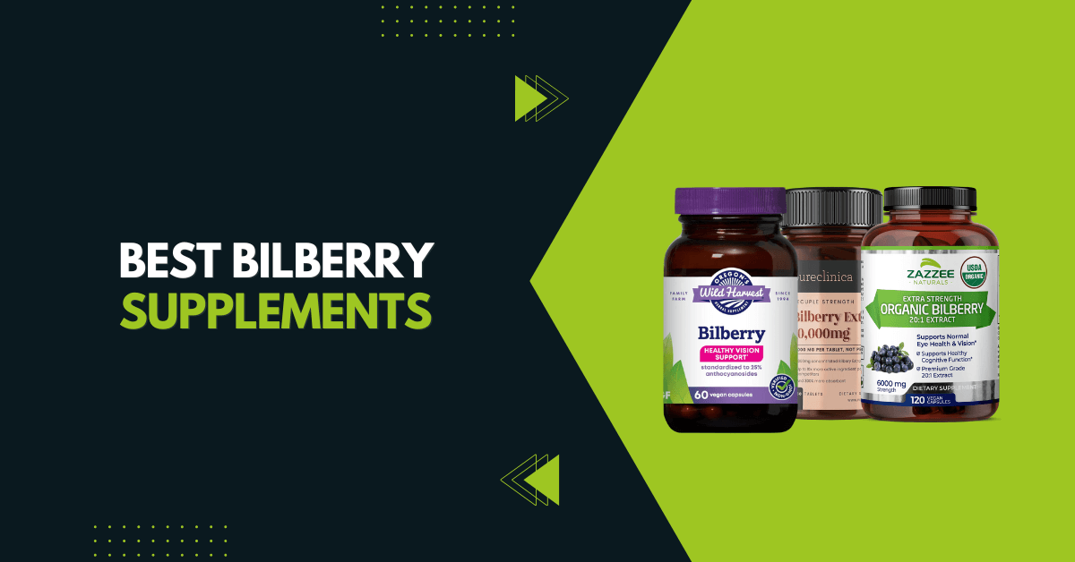 Best Bilberry Supplements