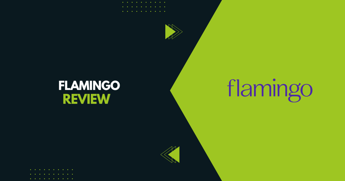 Flamingo Review