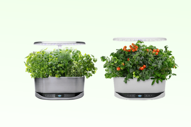 AeroGarden Review
