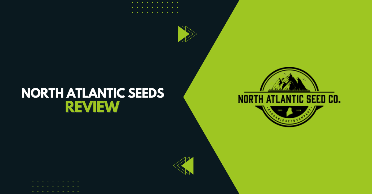 North Atlantic Seeds Review