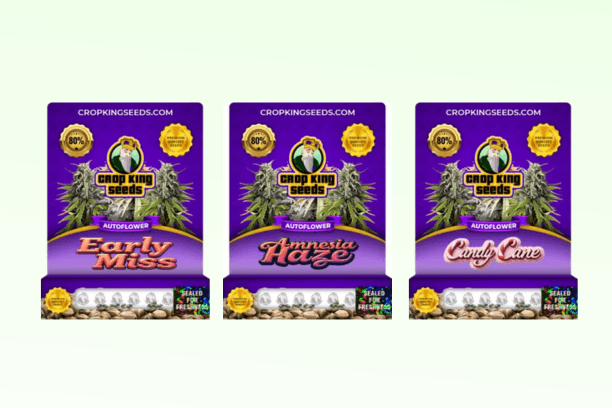 Crop King Seeds Review